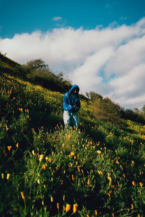 Person among yellow flowers beneath a cloudy sky.