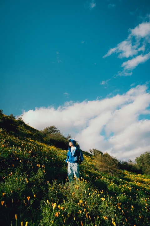 Persona en una ladera con flores amarillas bajo un cielo azul con nubes.